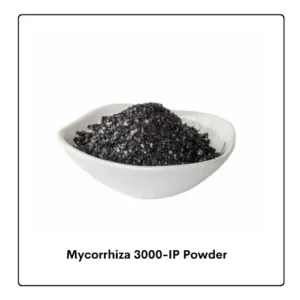 Mycorrhiza 3000