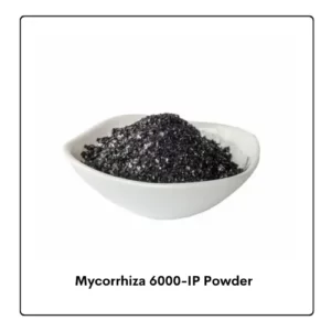Mycorrhiza 6000