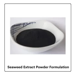Seaweed Extract Powder