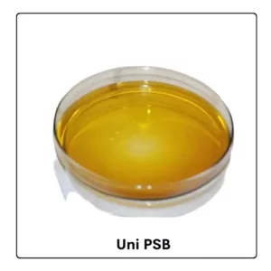 Uni PSB